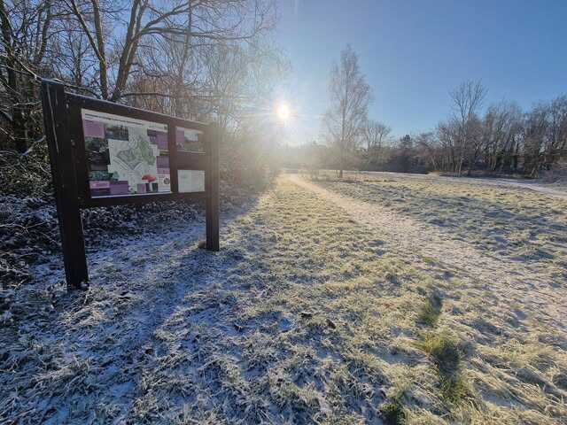 Hodge Lane Nature Reserve